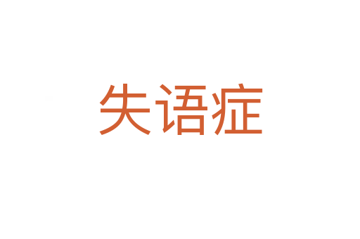 失語(yǔ)癥