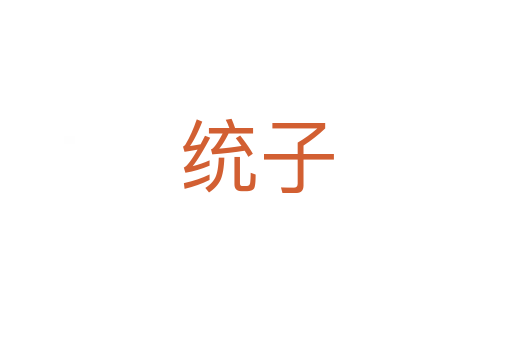 統(tǒng)子