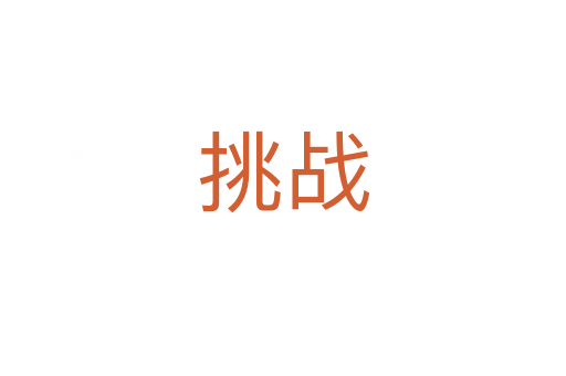 挑戰(zhàn)