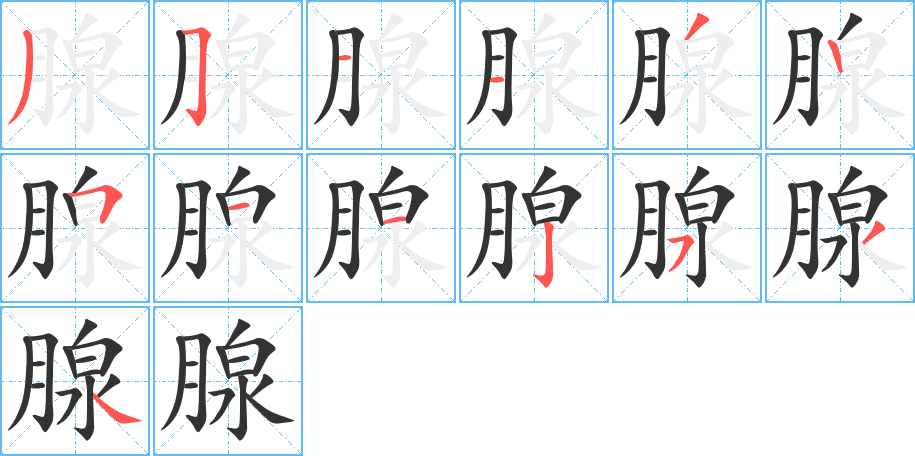 腺的筆順分步演示