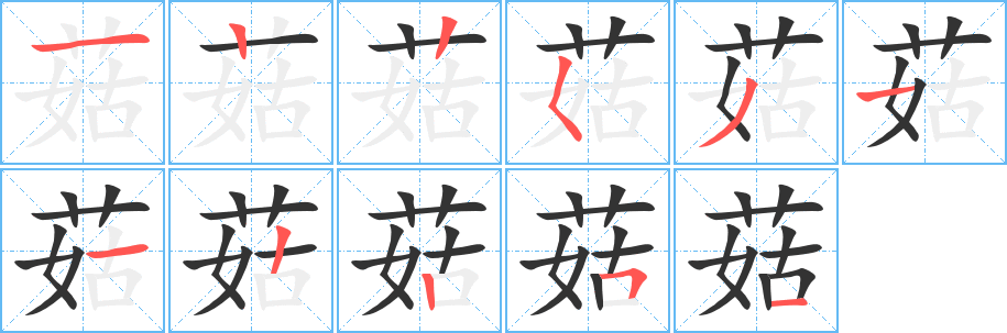 菇的筆順分步演示