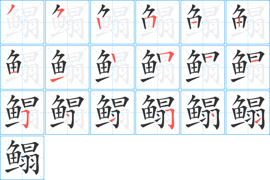 鰨的筆順分步演示