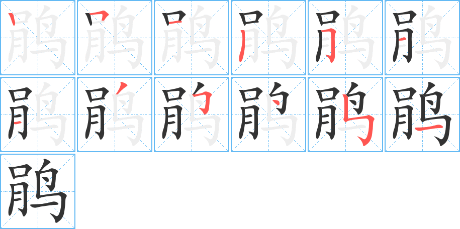 鵑的筆順分步演示